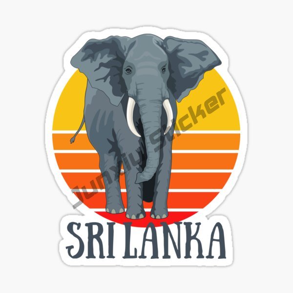 Fashion Car Sticker Sri Lanka  - огляд і ціна Laptop Accessories Sri Lanka